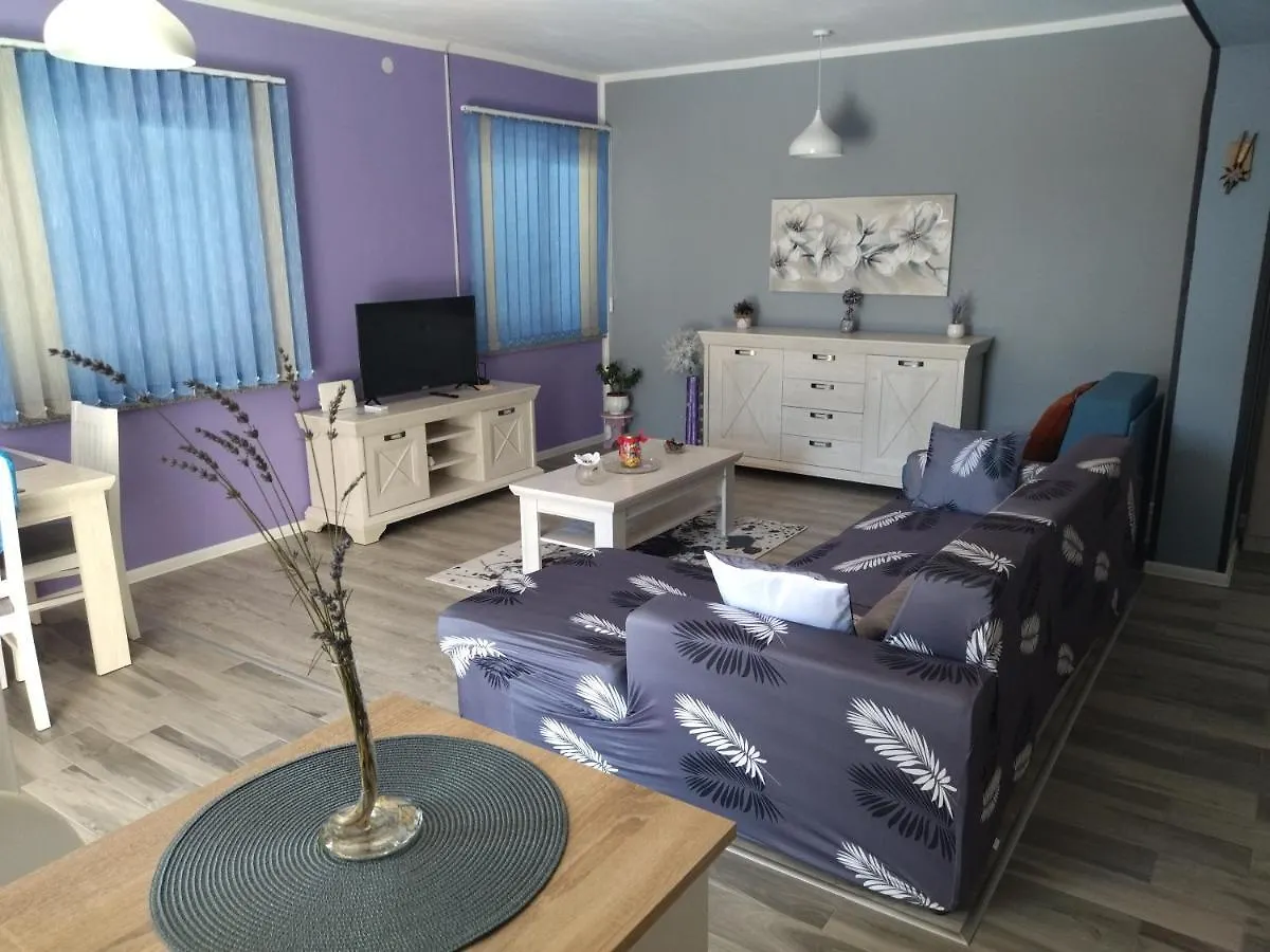 Apartments Biondi Viskovo